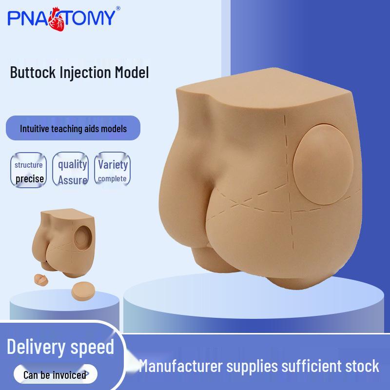 Gluteal Muscle Injection Training Model: PNT-WL01 Simulation for Nursing Education 18x24x16.5 cm