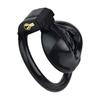 FRRK Men's Chastity Lock with Catheter Arc Ring Penis Lock Birdcage Penis Lock Anti-cheating Sex Props