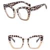 Cat Eye Big Frame Cat Eye Frame Eyewear Optical Glasses Anti Blue Light Glasses Computer Eyeglasses