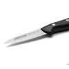 Couteau d'office éplucheur - ARCOS - Maitre - Lame 8 cm - Acier inoxydable NITRUM - Manche PP