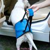Adjustable Dog Harness Assist for Legs Support Pet Rehabilitation Lifts