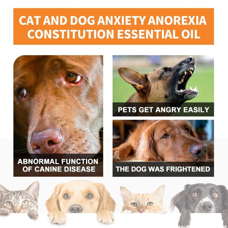 Buy Natural Organic Calming Drops Pet Stress Relief Blend Essential Oil ...