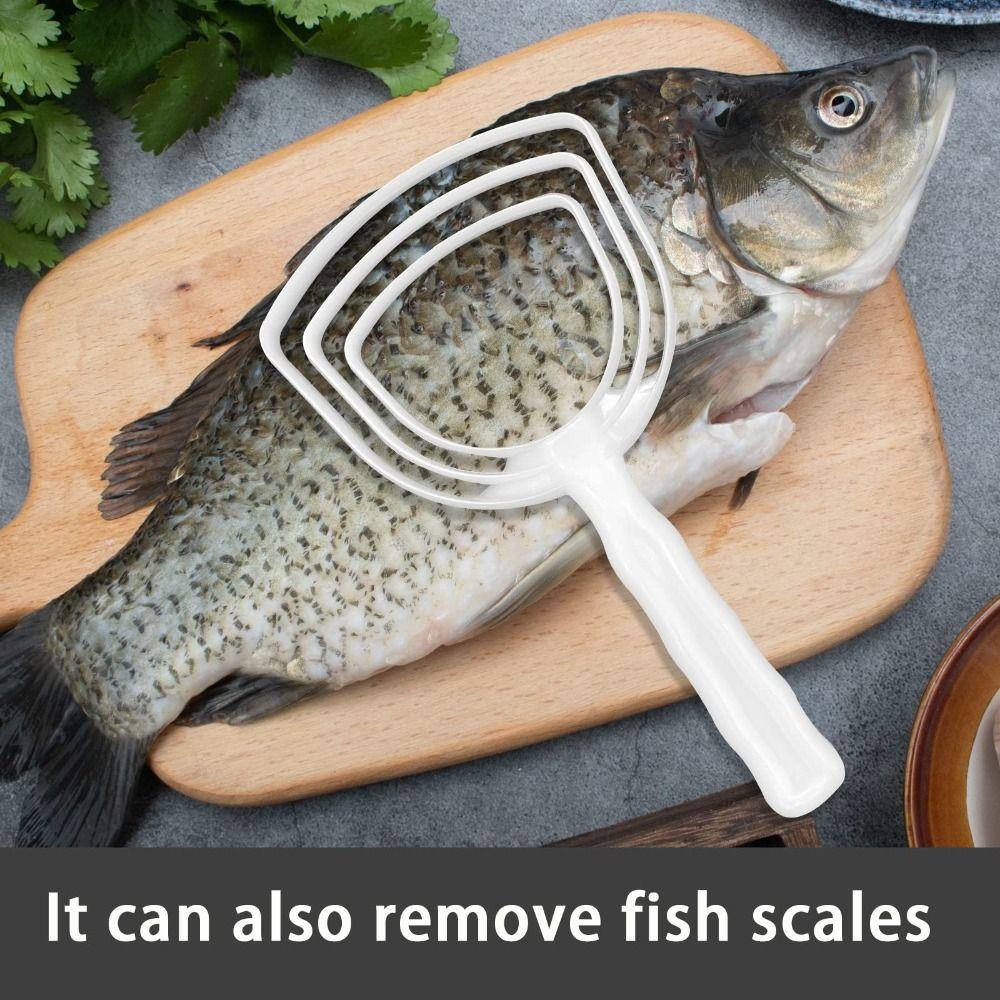 Profesionální škrabka na kostní prach Odolná proti korozi Škrabka na kostní prach Škrabka na maso Šupiny z ryb