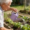Gießkanne für Zimmerpflanzen Kleine Gießkanne für Zimmerpflanzen Garten Blume Langer Ausguss Gießkanne für Außenbewässerung