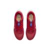 Nike Air Zoom Pegasus 40 University Red Blue Joy DV3853-600