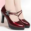 Fashion Brand Shoes Thick Heel Ladies Pumps Patent Leather Pointed Toe Women's Shoes Spring Autumn Fashion Party Office Lady Shoes