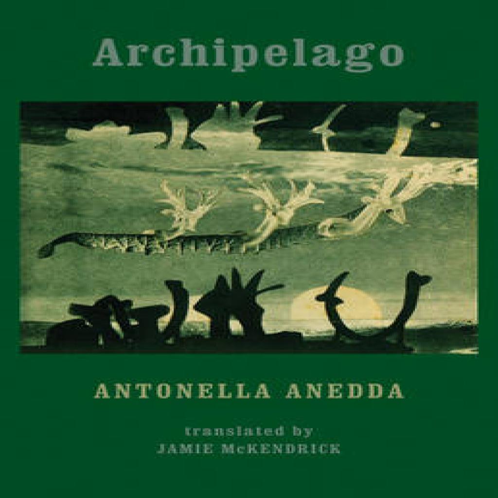 Archipelago by Antonella Anedda Paperback Book 9781780371085