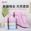 Towel Pure Cotton Soft Water Absorption Broken Cotton Class a Towel Embroidery Gift
