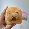Cute Capybara Plush Coin Purse Zipper Change Purse With Keychain Small Headphone Lipstick Bag Mini Wallet Money Bag Kids Gift