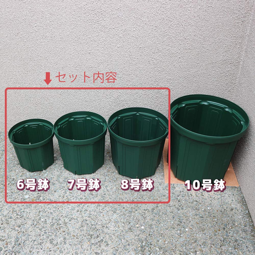 ITANSE Schlitz-Töpfe 8 1 pro Set und Zubehör zur Auswahl je nach Es gibt große Schlitze an den so dass die die es nicht mögen, ausgesetzt zu werden