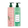 Oil Control & Volumizing Shampoo Duo
