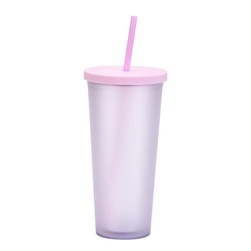 Double-Layer Plastic Straw Cup, Matte Cup, Outdoor Sports Water Cup