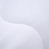 Du Sang All-Season Polyester Duvet Insert