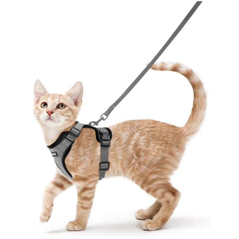Welpen-Mesh-Set für kleine Katzen, Geschirr und Leine, verstellbare Weste, fluchtsicher für Haustier, Kätzchen, einfache Kontrolle, reflektierendes Hundegeschirr