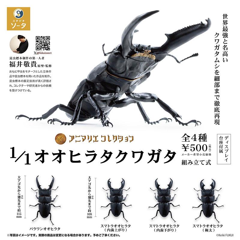 Genuine Gacha Scale Model Simulation Insect Model Collection Piece of A Giant Flat-bottomed Beetle Insect Model