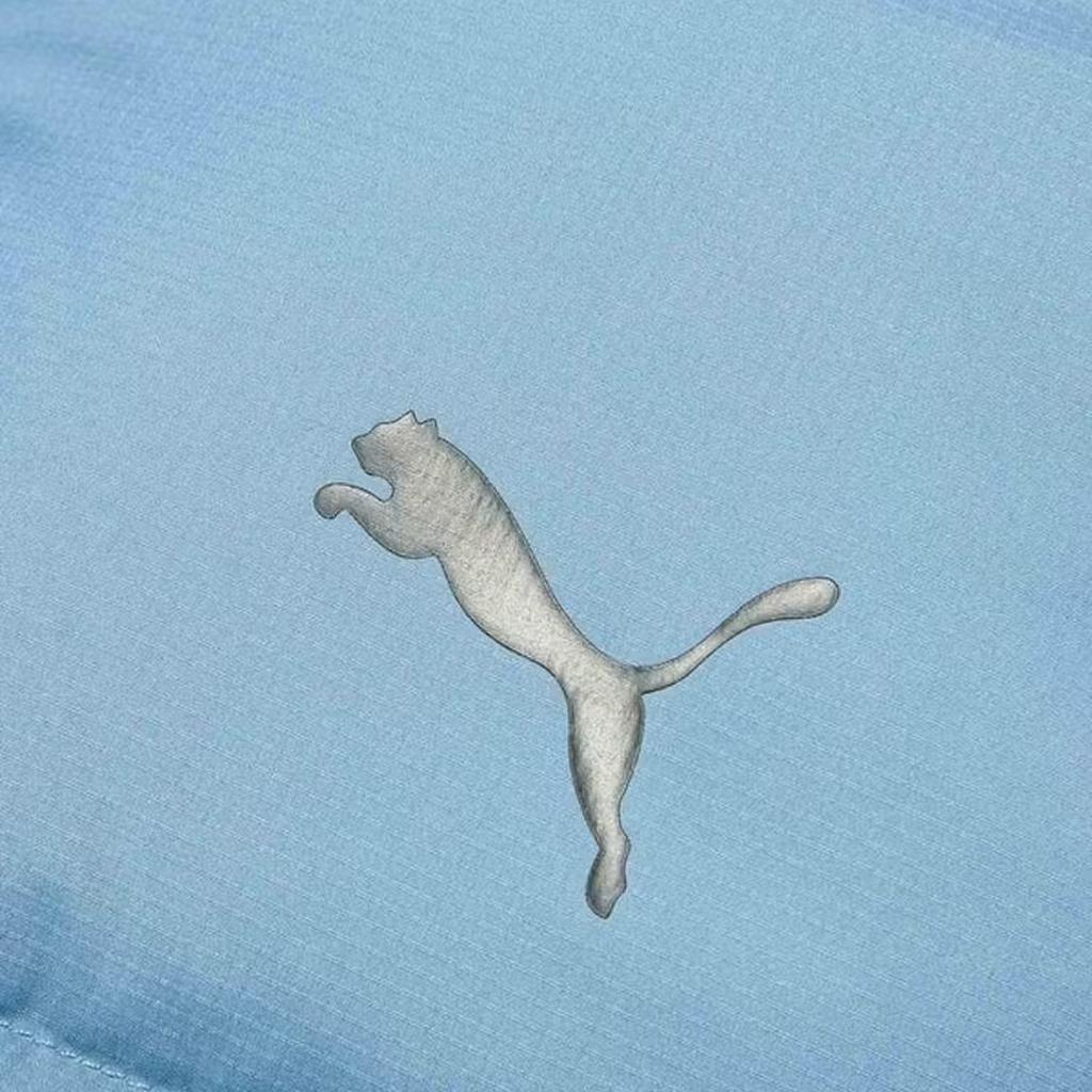 Puma Fw25 Hooded Down Puffer Warm Sports Windproof Water-Resistant Jacket Men jackets 691078-80