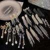Silver Needle High-end Style Claw Zircon Flowing Tassel Earrings for Women - Light Luxury, Small-Scale, Unique Style Long Earring Set