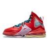 Nike LeBron 19 'LeBronival' Spor Ayakkabılar DQ7548-600
