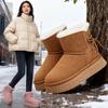 Fashion Thick-soled Snow Boots Women's New Autumn and Winter Fur Integrated Fleece Thickened Warm Cotton Shoes