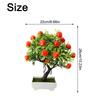 Orange Tree Diameter 22cm Green Non Toxic Brand New