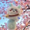 Cute Flying Squirrel Plush Doll Keychain With Bead Chain Kawaii Bag Pendant For Girls Heart Shaped Charm Accessory