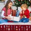 Christmas Calendar Advent 2025 Cute 2D Acrylic 24 Days Party Favors Dragon Ornament Countdown Calendar for Kids Birthday Gift