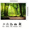 2D Lush Spring Woodland with Sunlight Rays Banner Photography Background Banner