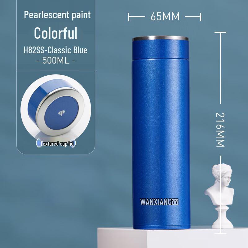 Vansum Stainless Steel Insulated Travel Mug with Tea Filter