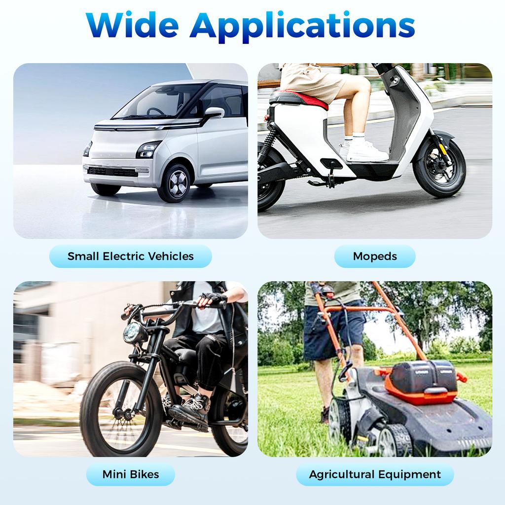 MY1016Z 350W 24V Electric Gear Motor 300RPM, High Torque Brushed Motor for E-Bike Scooter Moped Agricultural Equipment DIY