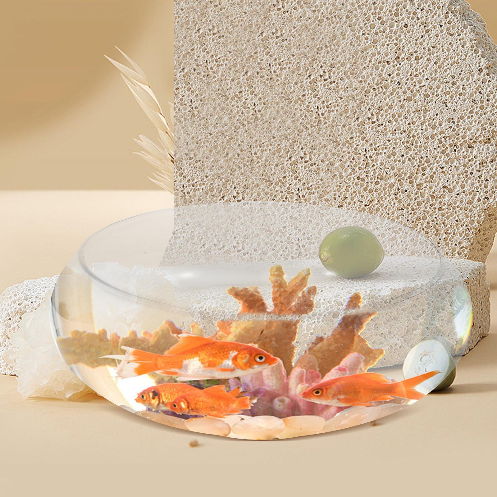 

Glass Fish Bowl Small Desktop Aquarium for Fish and Hydroponic Plants Transparent Round Tank Home Office Decorative Use 15X15X6CM