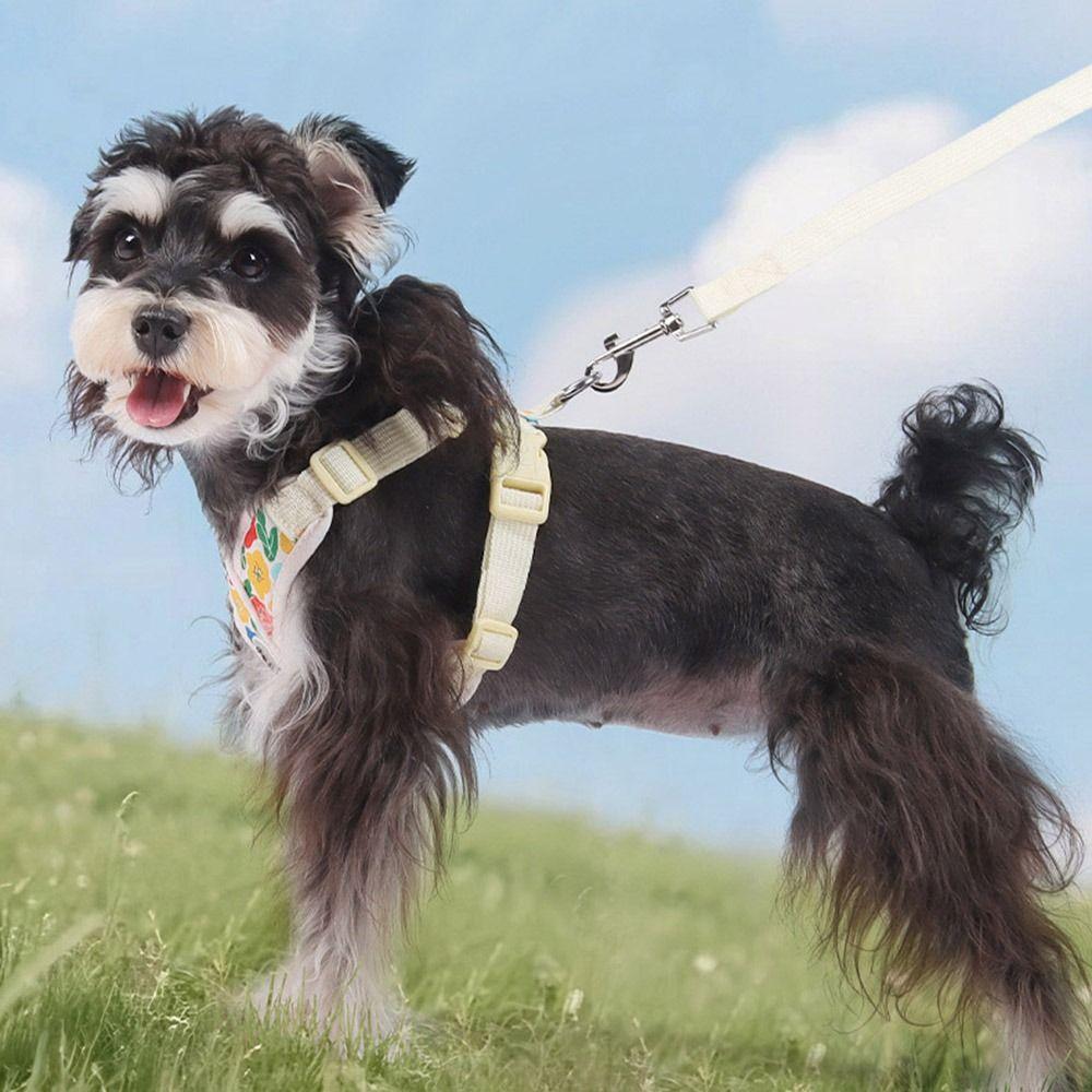 Verstellbares X-förmiges Hundegeschirr Weste Ausbruchsicher Atmungsaktiv Welpe Katze Brustgurte mit Gurt Leichte Welpenführleine