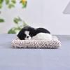 Activated Carbon Dog Ornament for Car Interior, Bamboo Charcoal Bag Decor