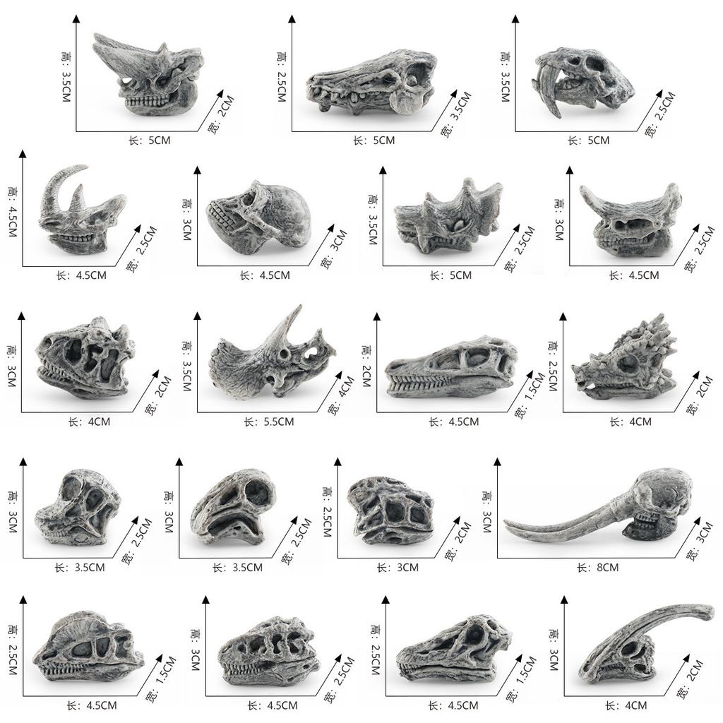 Highquality Dinosaur Realistic Skull Model For Childrens Development Cognitive