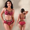 Neues sexy Spitzen-Push-Up-BH-Set für einen verbesserten Look