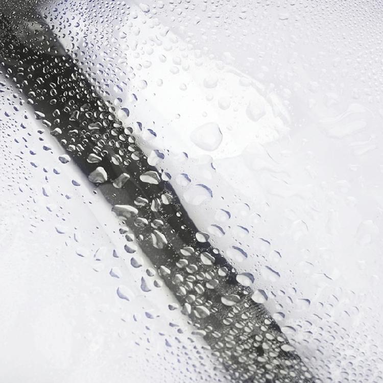 Transparent Chest Bag Crossbody Purse Belt Bag for Sports, Travel, Beach, Event