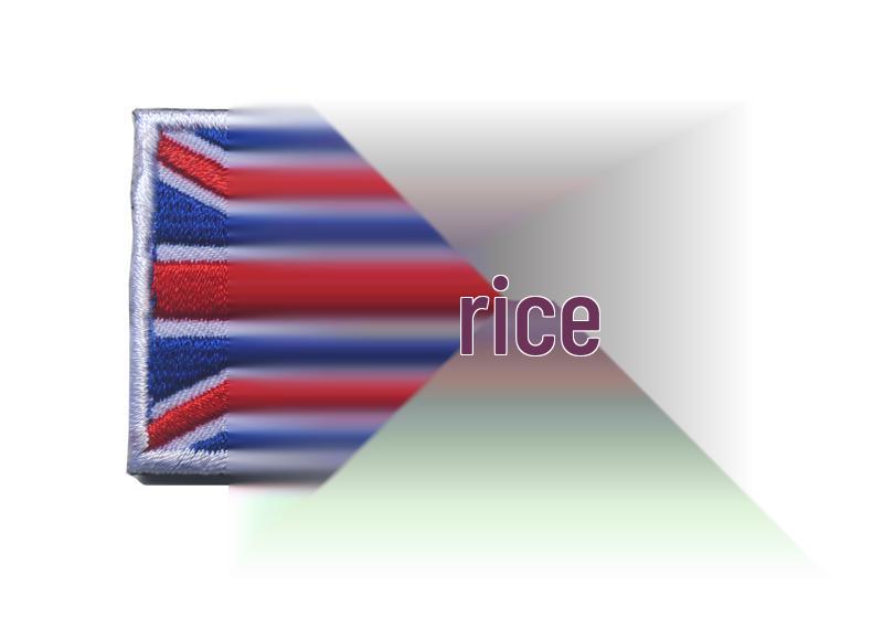 European Flag Emblem Velcro Patch: EU, NATO, UK, Germany, Czech Republic