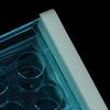 10Pcs Plastic Test Tubes Vials With Caps & Pipe Rack Holder Stand 40/50 Holes