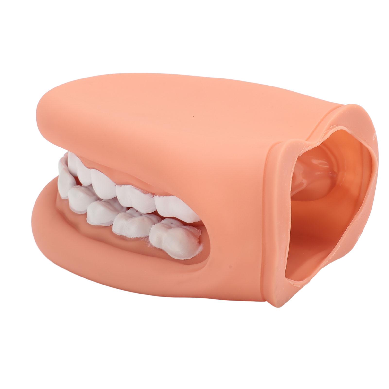 

Mouth Puppet with Tongue 28 Teeth Silicone Speech Therapy Demonstration Teeth Model for Kids Teaching