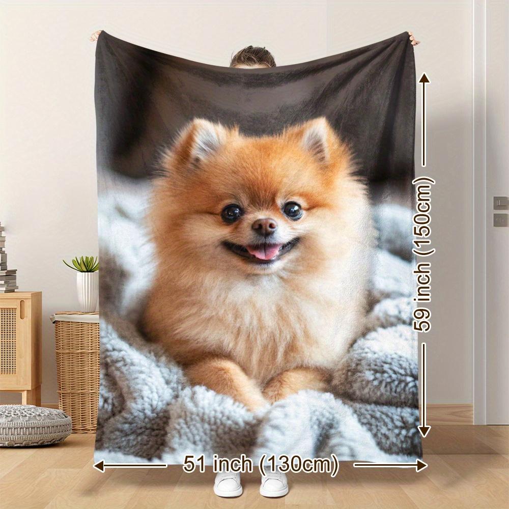 VIKAMA Cute Pomeranian Soft And Warm Printed Blanket Is Perfect For Naps, Camping, Traveling, And Office Home Decoration