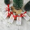 10/20 Sets Magic Reindeer Food Kits with Plastic Test Tubes Christmas Eve Party Favor Packs for Family Activities
