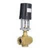 Electric Motorized Valve Regulating Control Brass BSP 2 Way AC 220V for Industry