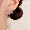Pearl Star Ear Clip for Women's New Style, with a niche design and high-end earrings