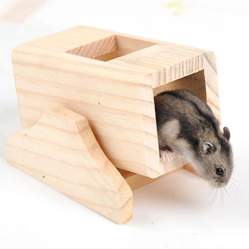 hamster exercise toys