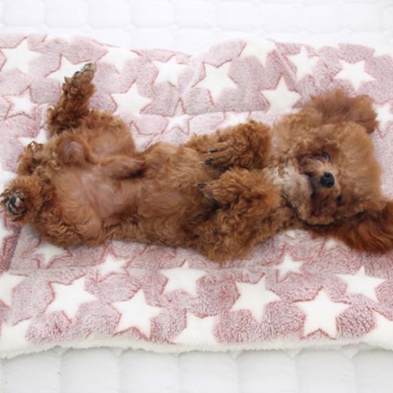 Haustier Hund Katze Stern Pfoten Bettmatte Weiche Fleece Decke Warme Schlafkissen Matratze