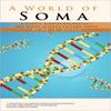 A World of Soma by Dr Z Gilead Paperback Book 9781462019762