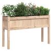 Planters 2 Pcs with Legs Solid Pine Wood
