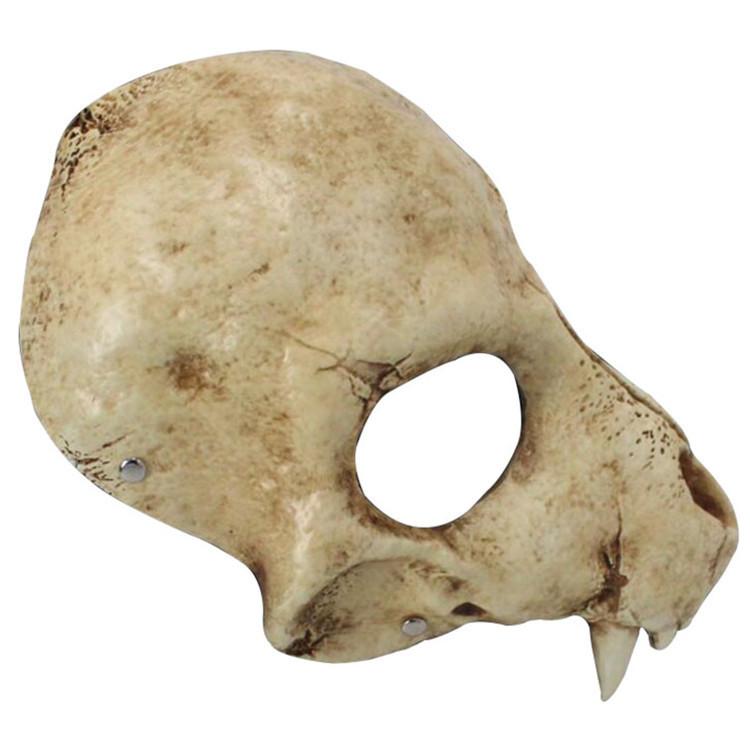 Skull Wolf Mask Horror Prop With Resin Construction For Cosplay And Themed Celebrations