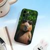 Cute-Capybara  Phone Case For iPhone 17, 16,15,14,13,12,11 Plus,Pro Max, Others Soft Black Cover