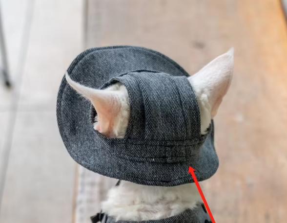 

Роскошная дорожная переноска для кошек ручной работы, сумка для лакомств, черная, милая, для питомцев, самозастегивающийся рюкзак, шлейка-жилет для кошек Gotas Katten Сфинкс Девон рекс XXXL