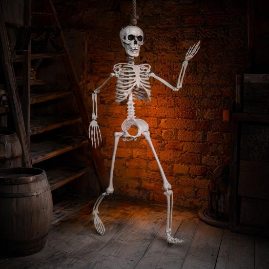 Reusable Halloween Decoration 3ft Life Size Skeleton, Full Body Posable Plastic Skeleton Prop, Realistic Model Human Bones for Yard Patio Lawn Garden